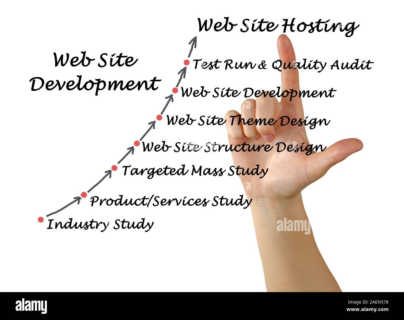 Diagramm der Entwicklung Stockfoto