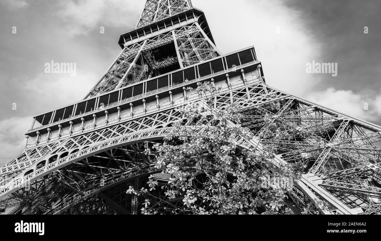 Eiffelturm Paris in Schwarz und Weiß Stockfoto