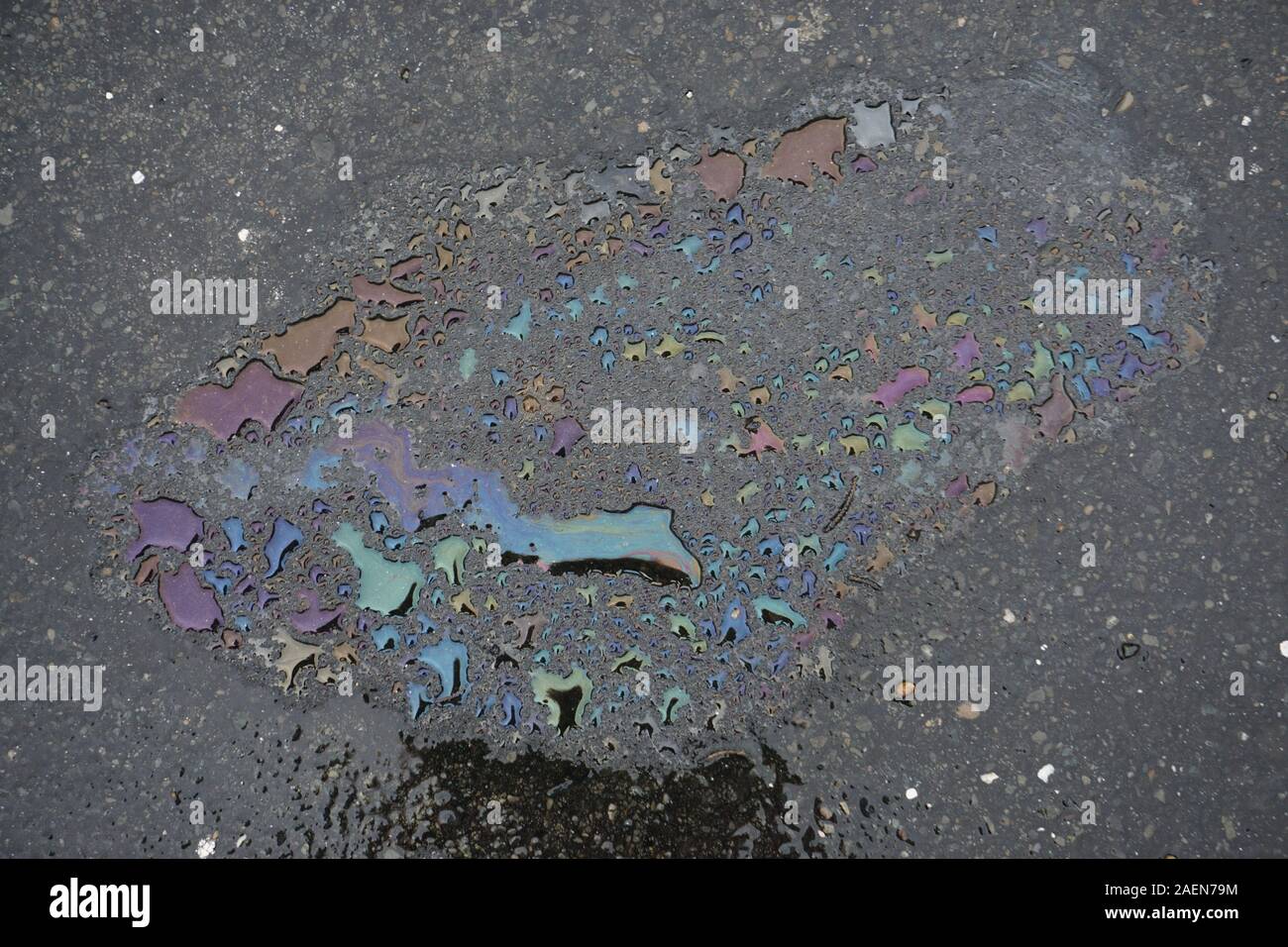 Nahaufnahme der regenbogenfarbenen Ölpest Pfützen auf dem Asphalt Stockfoto