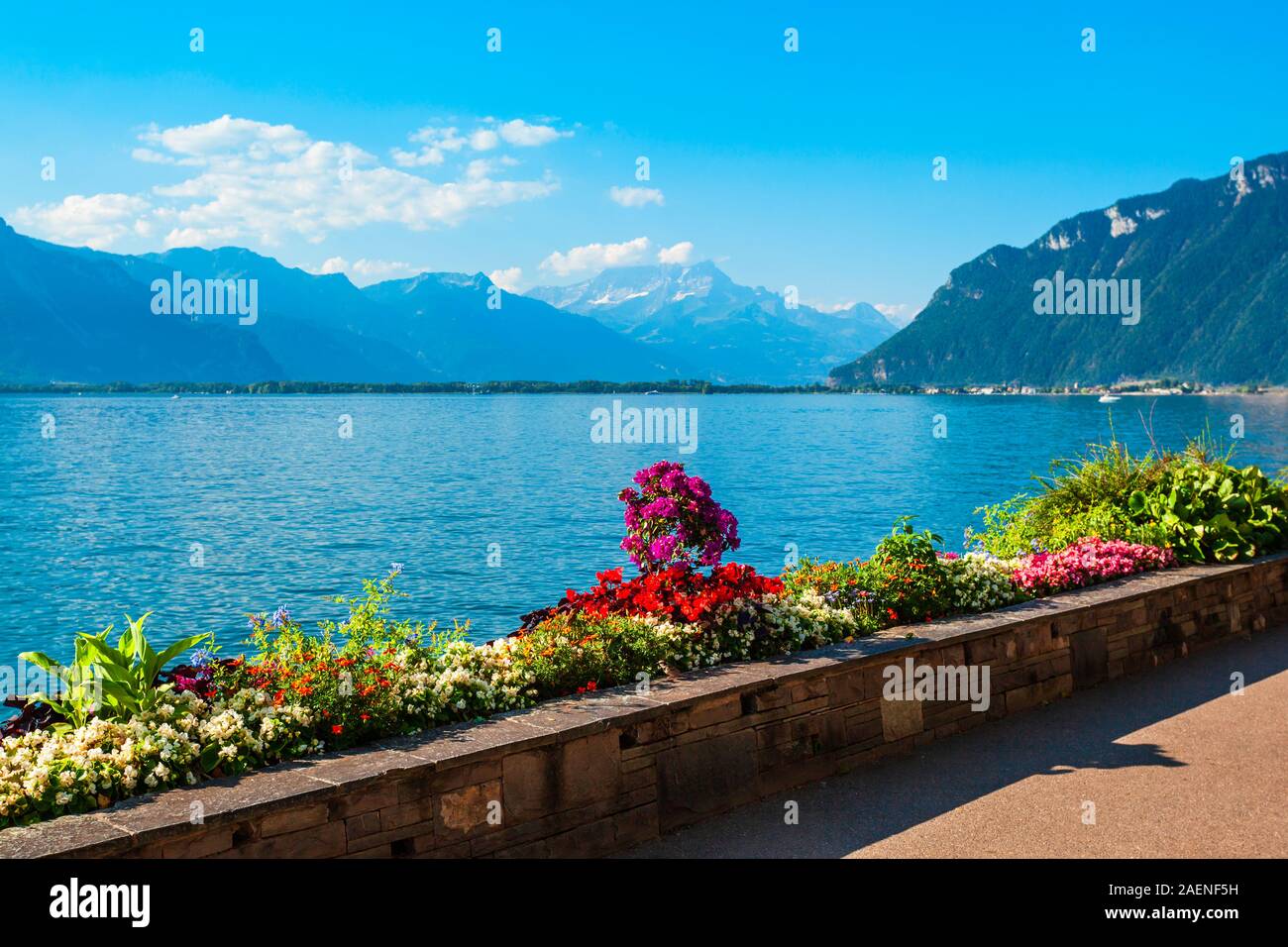 Montreux ist eine Stadt am Ufer des Genfer Sees am Fuße der Alpen in der Schweiz Stockfoto