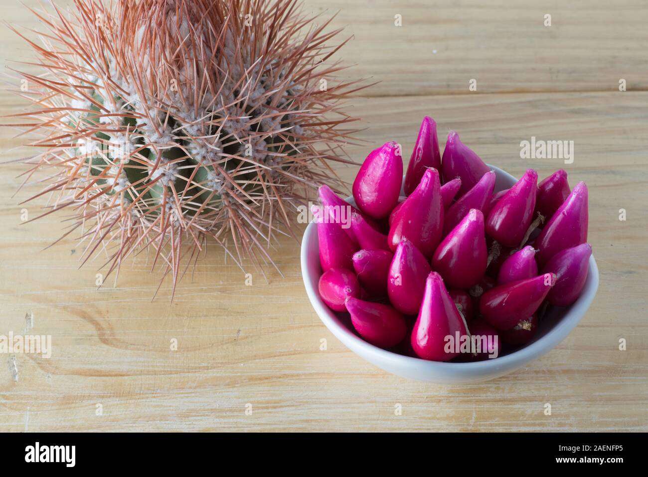 Pitiguey Rosa Frucht und Melocactus Curvispinus.von oben Stockfotografie -  Alamy