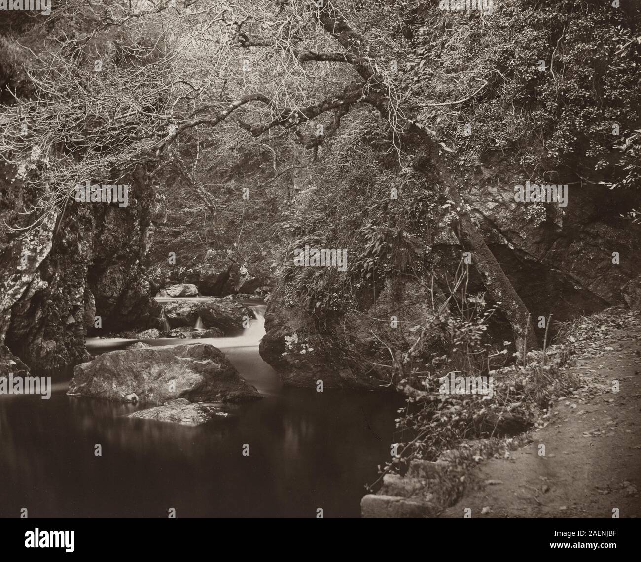 Ein Gemälde von Thomas Marcus Brownrigg um 1865, das das Dargle Hole zeigt, einschließlich Wasser, umgebender Landschaft, Bäumen und natürlichem Gelände. Stockfoto