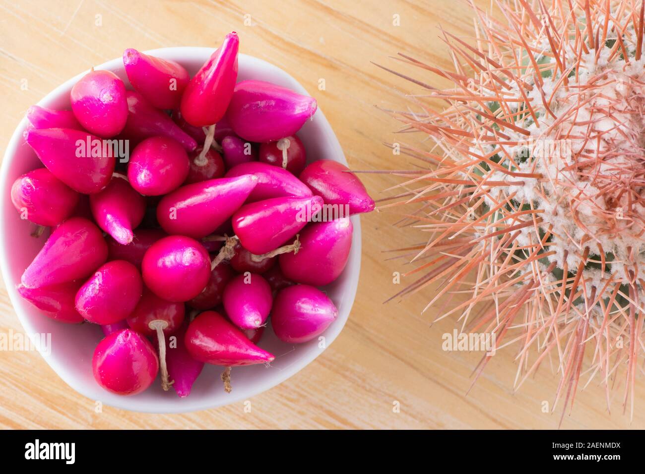 Pitiguey Pink Fruit Bowl und Melocactus Curvispinus Stockfoto