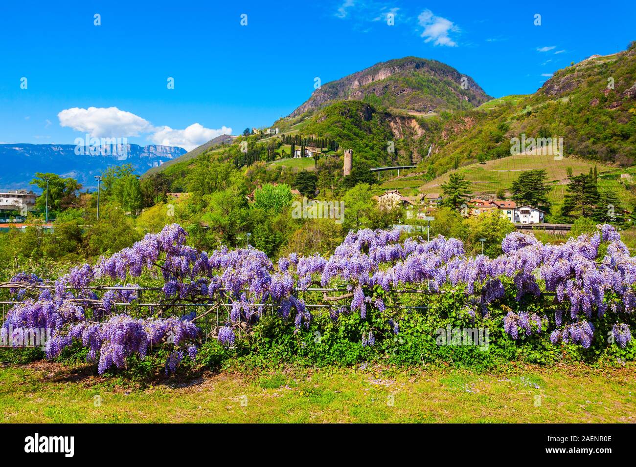 Öffentlicher Park in Bozen. Bozen ist die Hauptstadt der Provinz Südtirol in Norditalien. Stockfoto