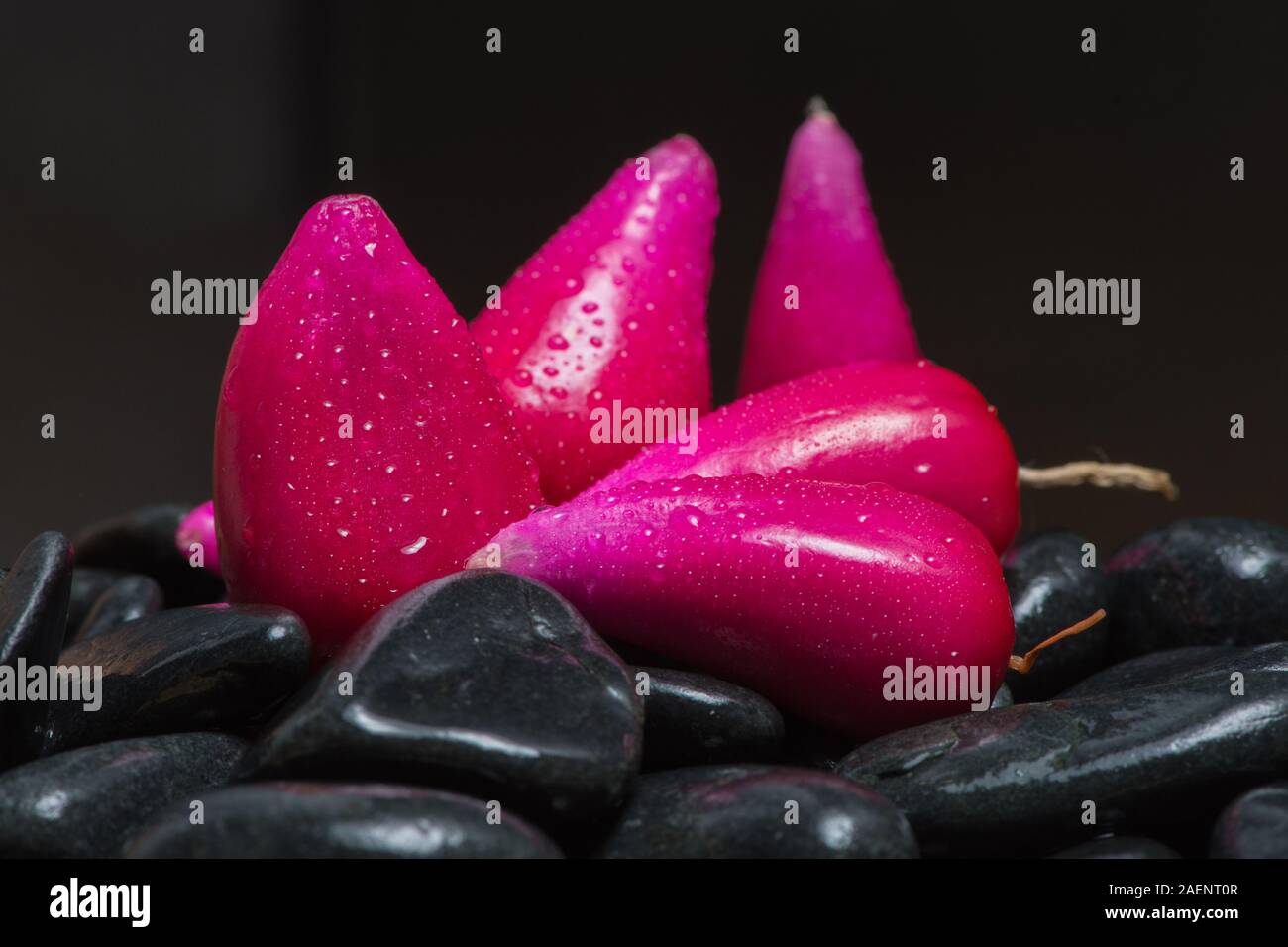 Pitiguey Pink Fruit Nahaufnahme von schwarzen Steinen Stockfoto