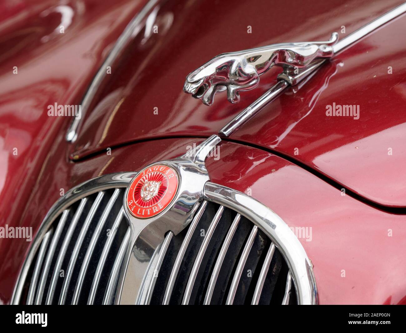 Jaguar Logo/Maskottchen auf einer Motorhaube schließen bis auf einen Oldtimer. Stockfoto
