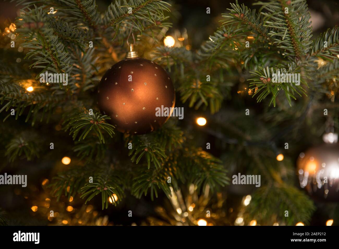 Golden christmas Ball im Baum als Weihnachtskarte im Dezember Saison Stockfoto