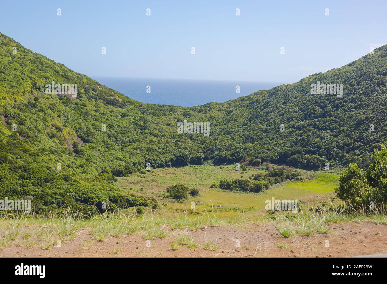 Reserva florestal de Recreio do Monte Brasil. Blick auf die grüne Heels. Terceira, Azoren Portugal. Stockfoto