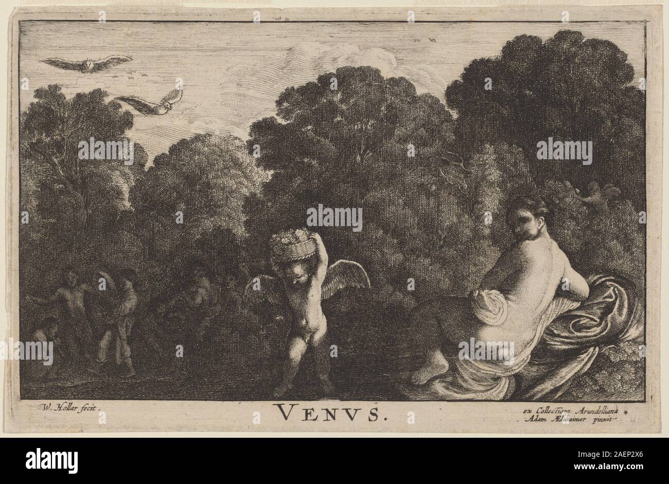 Wenzel Hollar (nach Adam Elsheimer), Venus, Venus Stockfoto