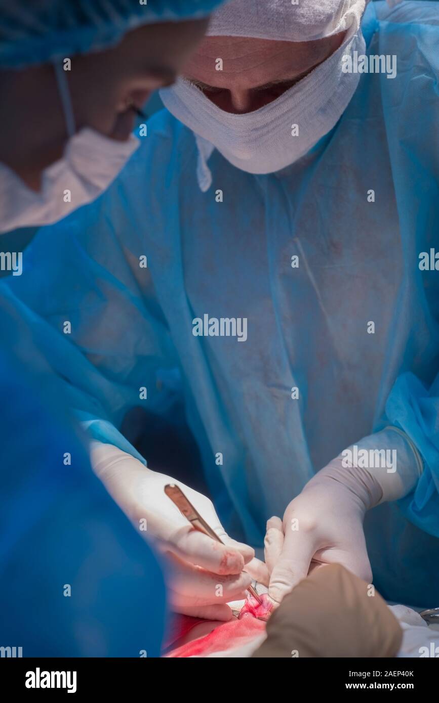 Chirurgen Kinder urologische Operationen durchführen. Ein Mann und eine Frau in einer Maske und einem blauen sterile Mantel in den Operationssaal. Ein Team von Chirurgen ist Co Stockfoto