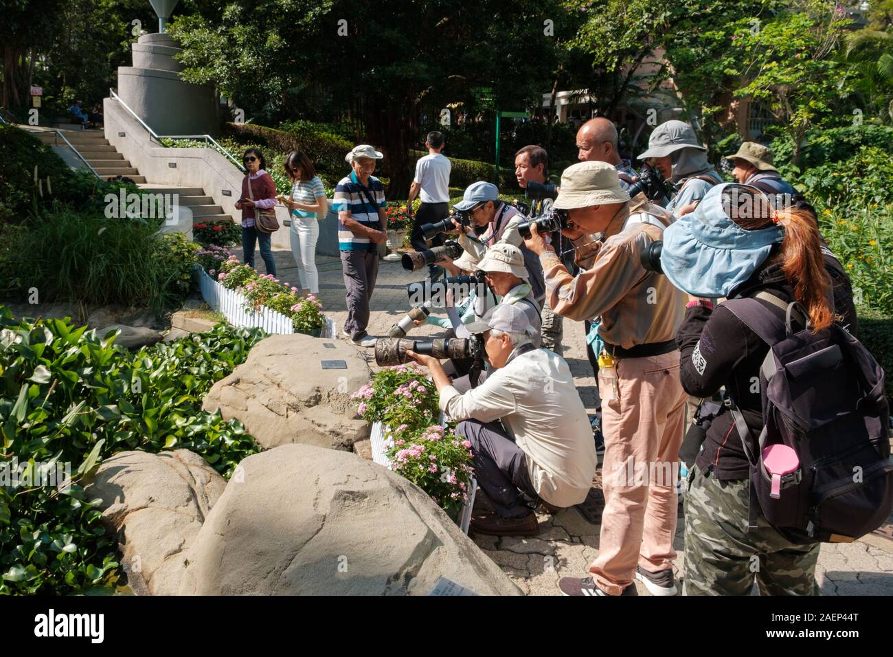 HongKong - November, 2019: Gruppe von Fotografen, die Bilder von Insekten und Pflanzen in Hong Kong Park in Hongkong Stockfoto