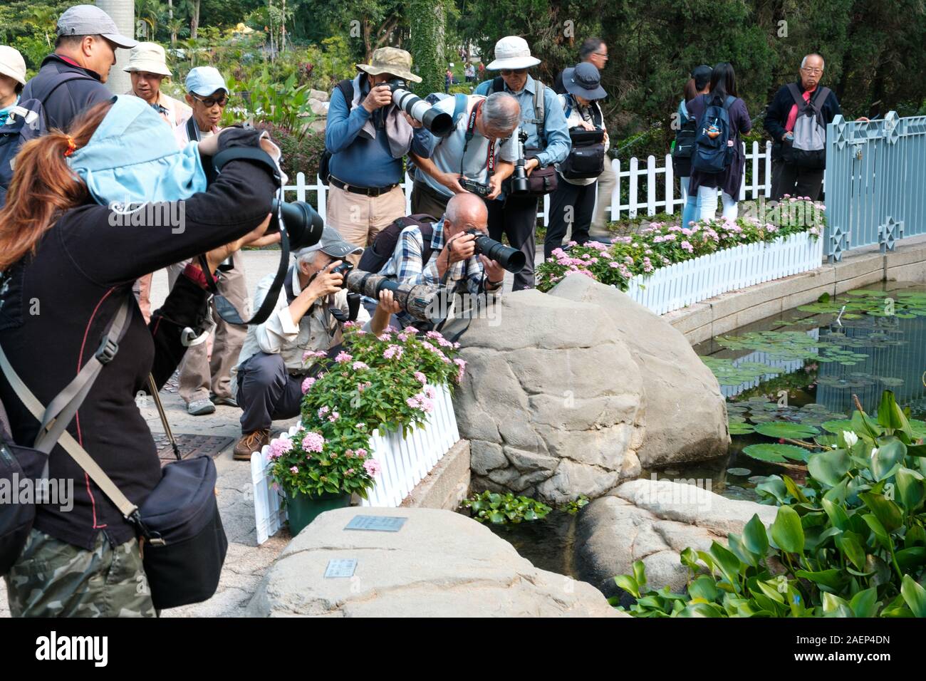 HongKong - November, 2019: Gruppe von Fotografen, die Bilder von Insekten und Pflanzen in Hong Kong Park in Hongkong Stockfoto