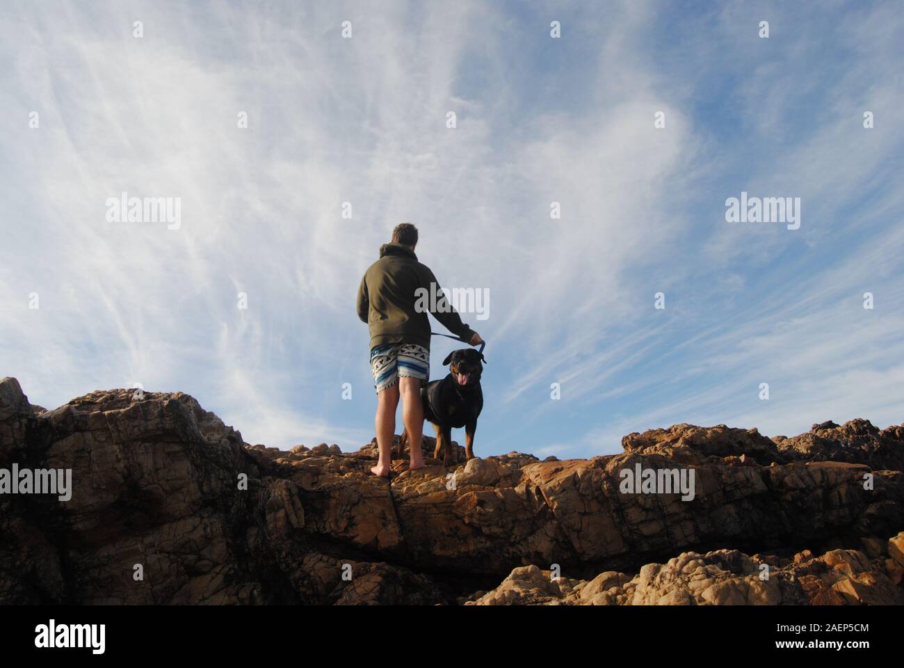Glücklicher Hund mit Eigentümer am felsigen Strand Stockfoto