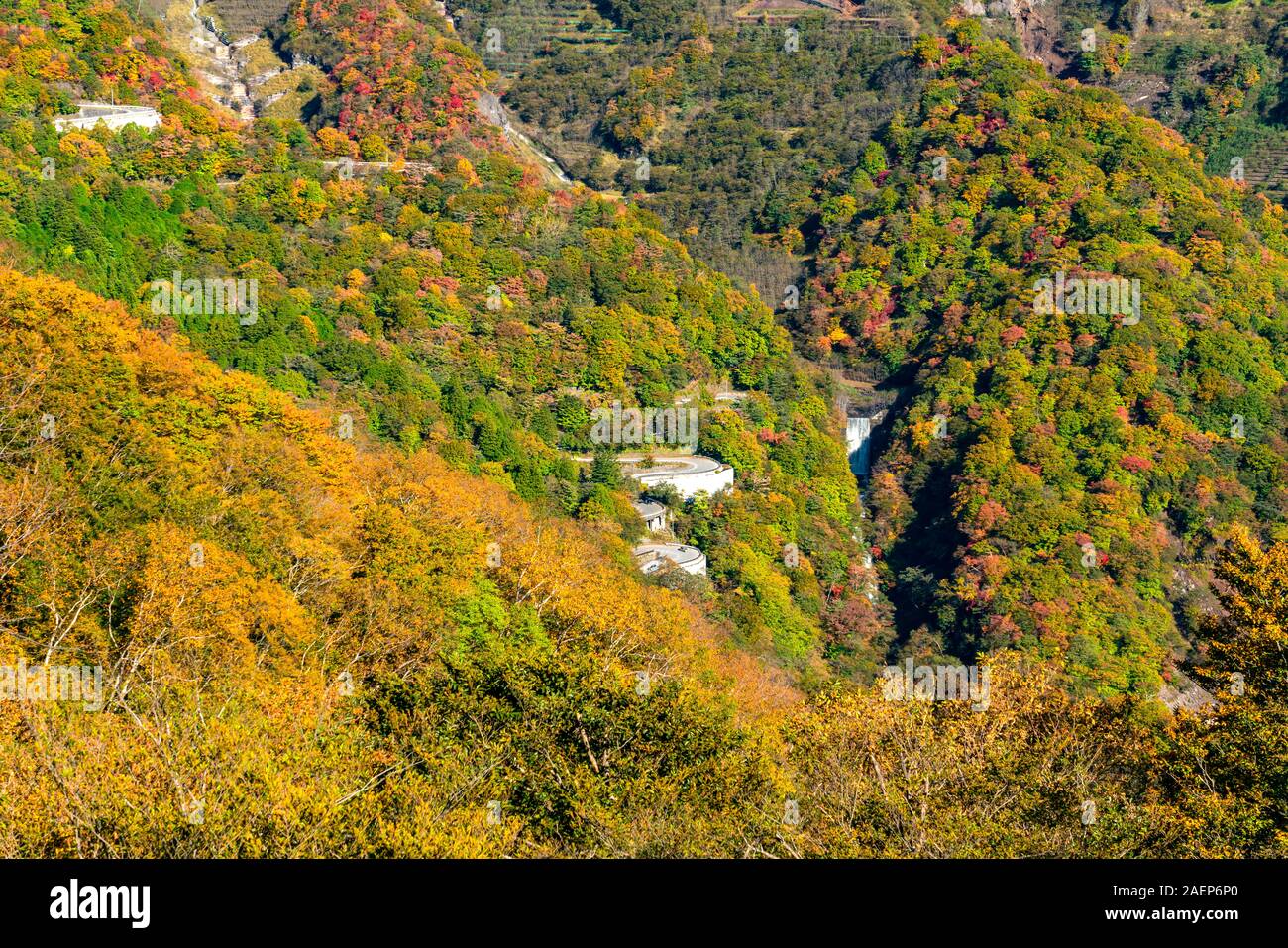 Die malerische Landschaft des Berges mit buntes Laub, Herbst, Wald, eine geschwungene Straße und eine hohe Wasserfälle in sonniger Tag bei Nikko Stadt, Tochig Stockfoto