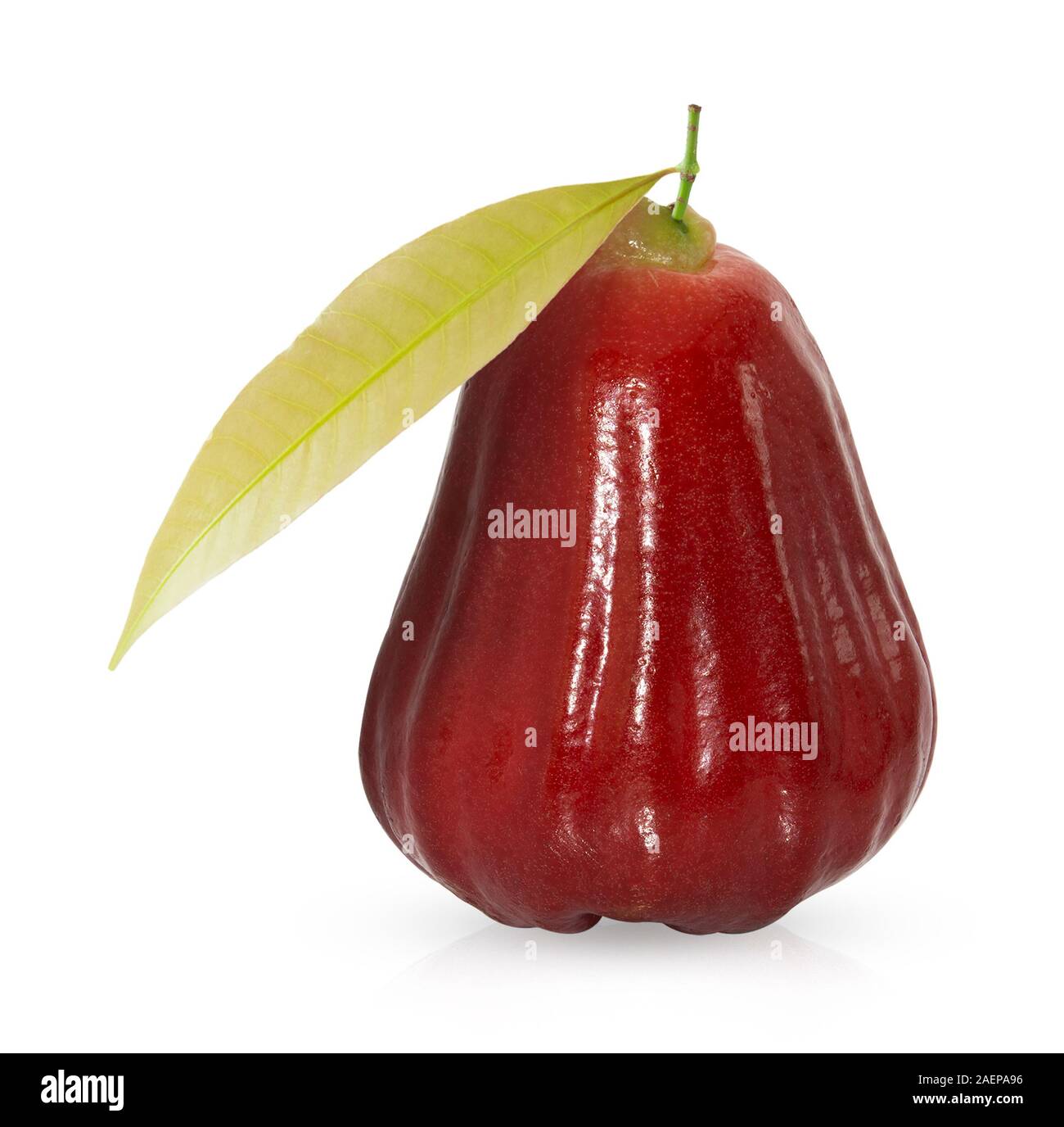 Ganze rose Apple oder chomphu mit grünen Blättern auf weißem Hintergrund Stockfoto