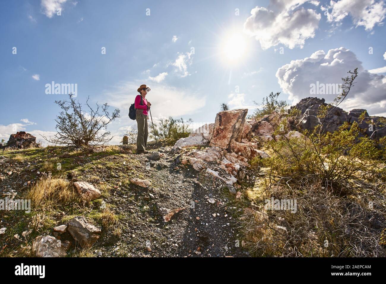 Wandern in Phoenix Mountains bewahren. Phoenix. Arizona, USA Stockfoto