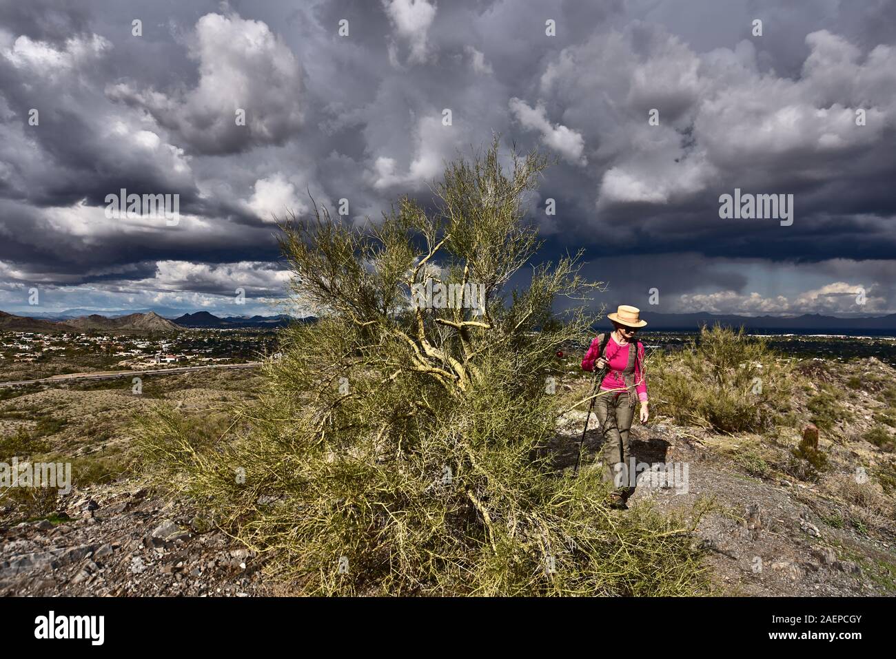 Wandern in Phoenix Mountains bewahren. Phoenix. Arizona, USA Stockfoto