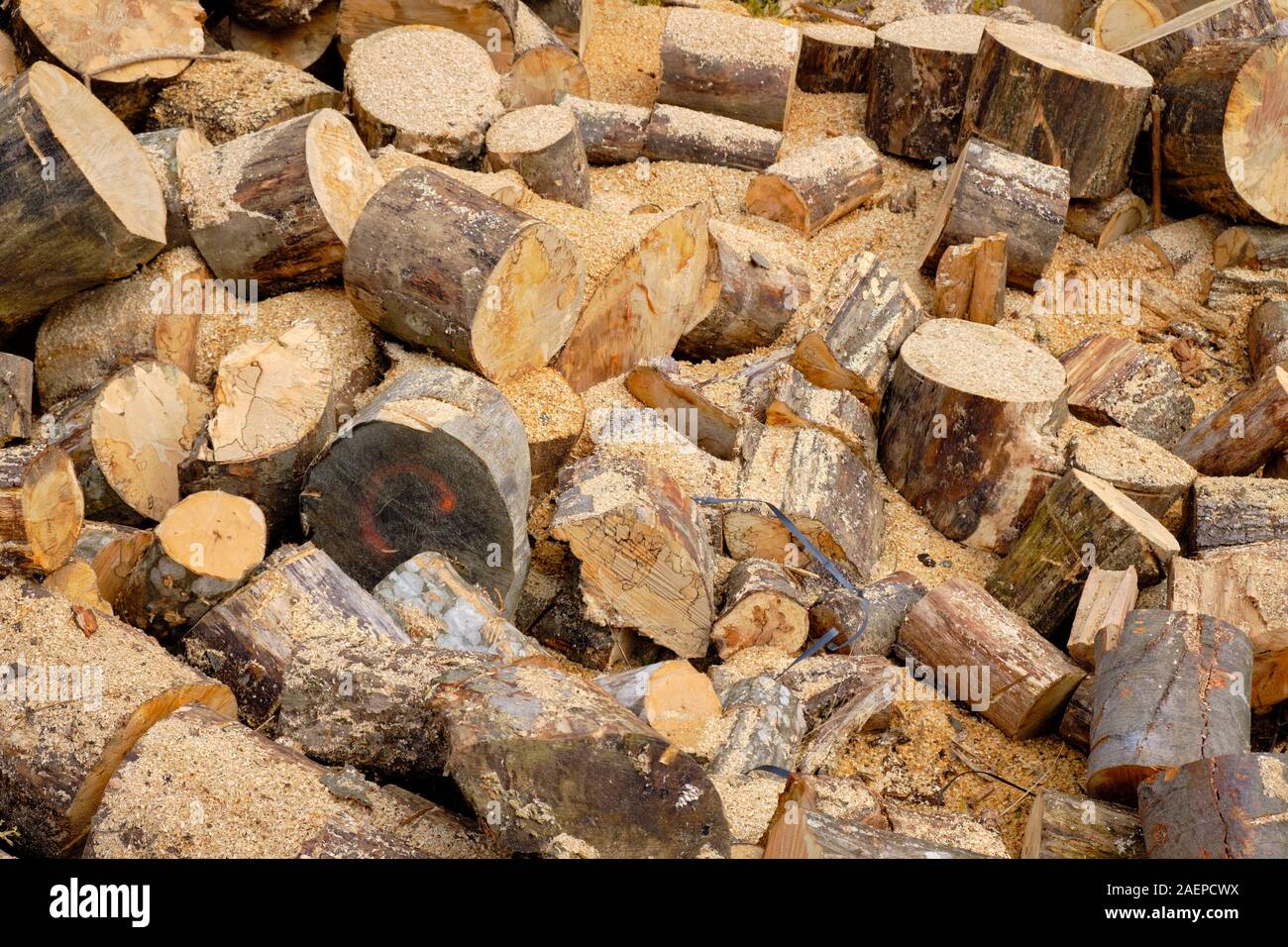 Großen Damm des frisch geschnittenen Rundholz zufällig Blocklagerung Stockfoto