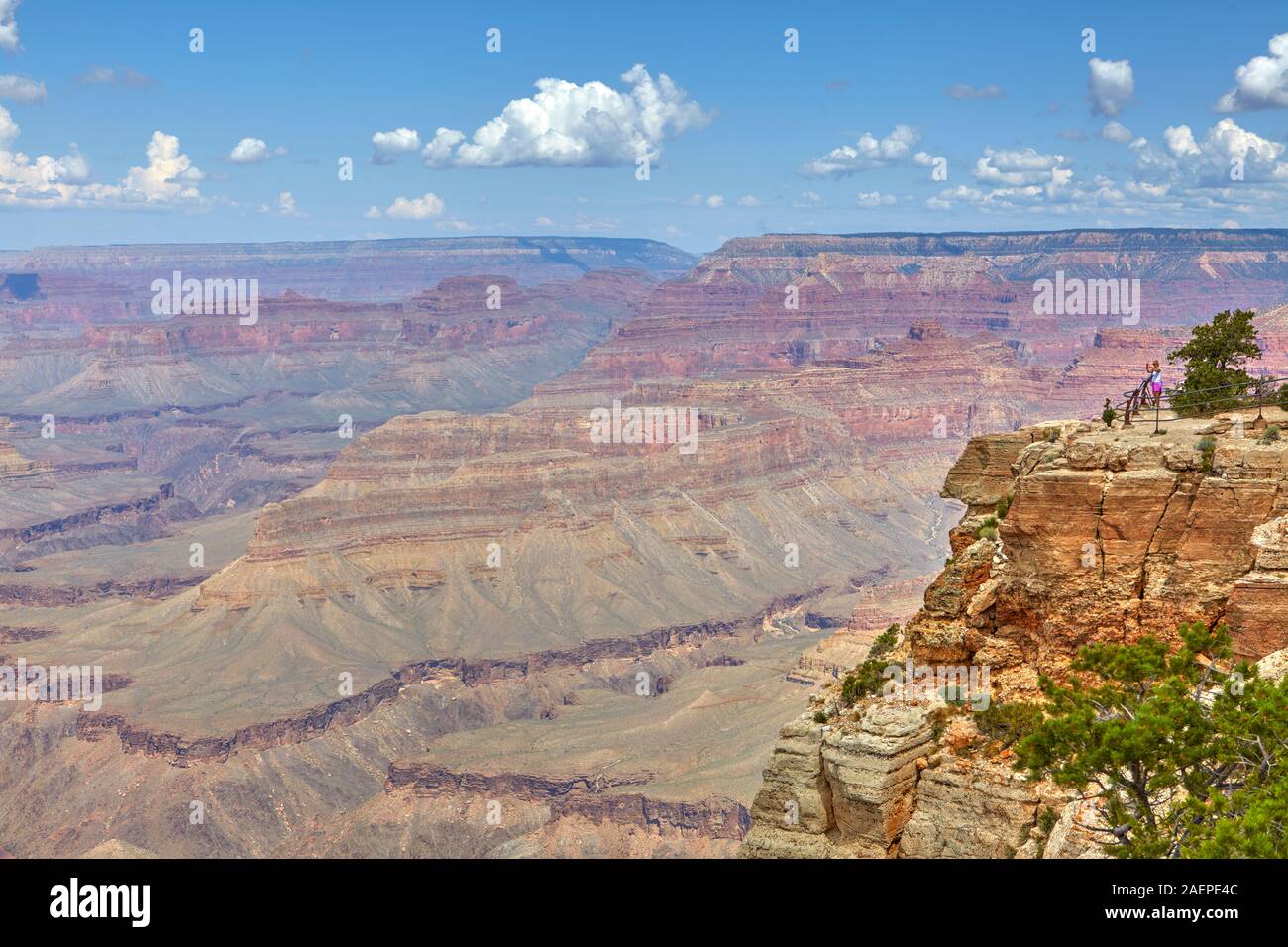 Grand Canyon gesehen von Mohave Point, South Rim, Arizona, Vereinigte Staaten Stockfoto