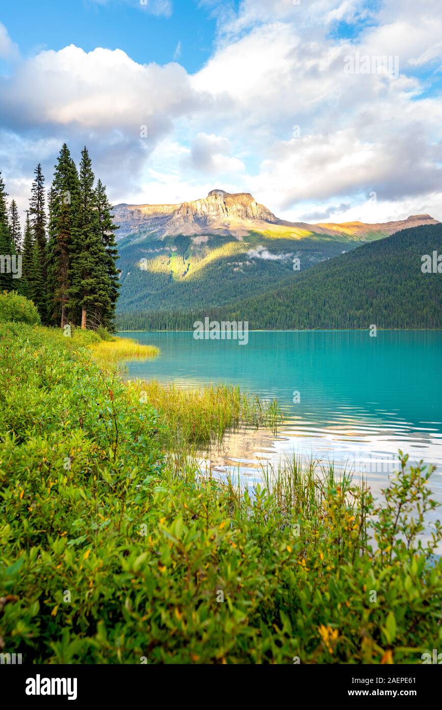 Schöne Reflexion an Emerald Lake, Yoho National Park, British Columbia, Kanada Stockfoto