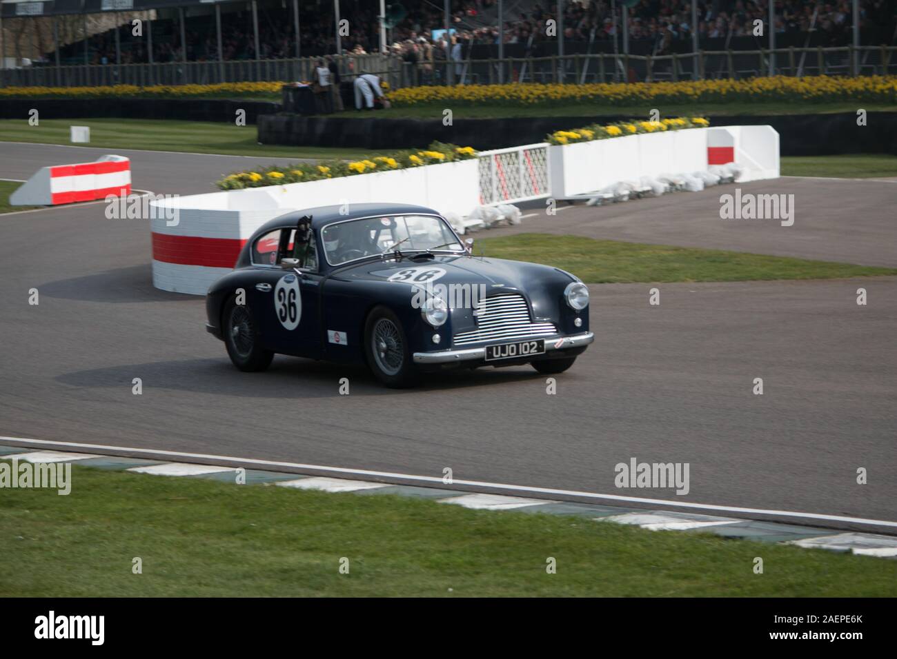 Goodwood Motor Racing Chichester West Sussex Stockfoto