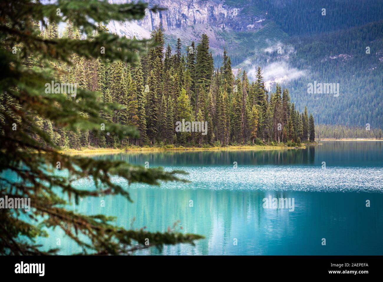 Schöne Reflexion an Emerald Lake, Yoho National Park, British Columbia, Kanada Stockfoto