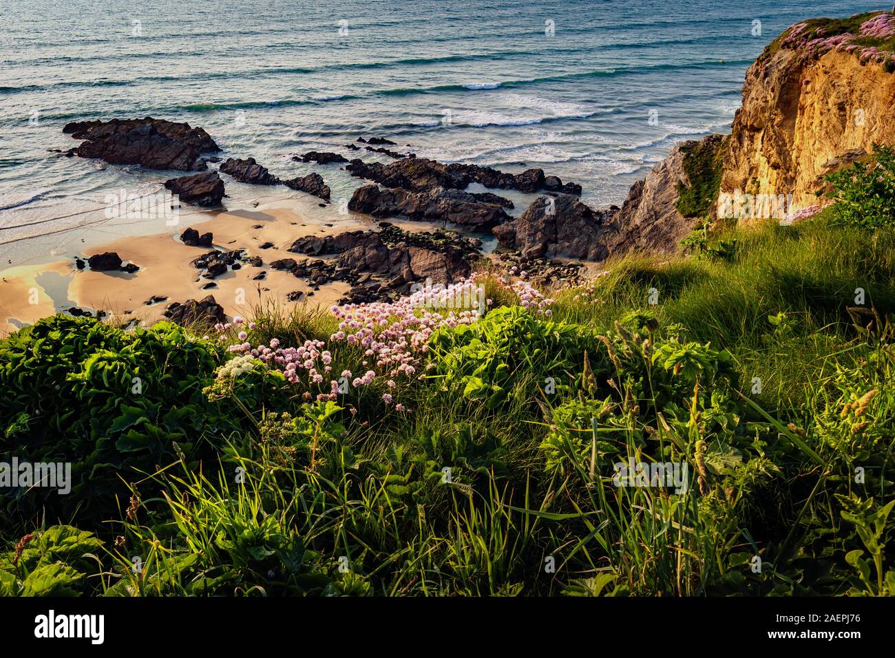 Der goldene Felsen an der Küste von Newquay Strand an der Goldenen Stunde im Süden von Cornwall, England, Vereinigtes Königreich, Großbritannien Stockfoto
