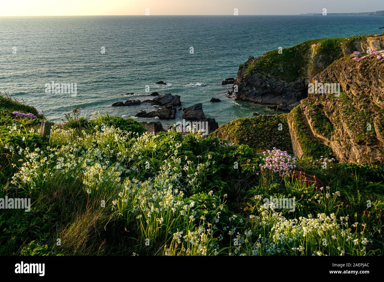 Der goldene Felsen an der Küste von Newquay Strand an der Goldenen Stunde im Süden von Cornwall, England, Vereinigtes Königreich, Großbritannien Stockfoto