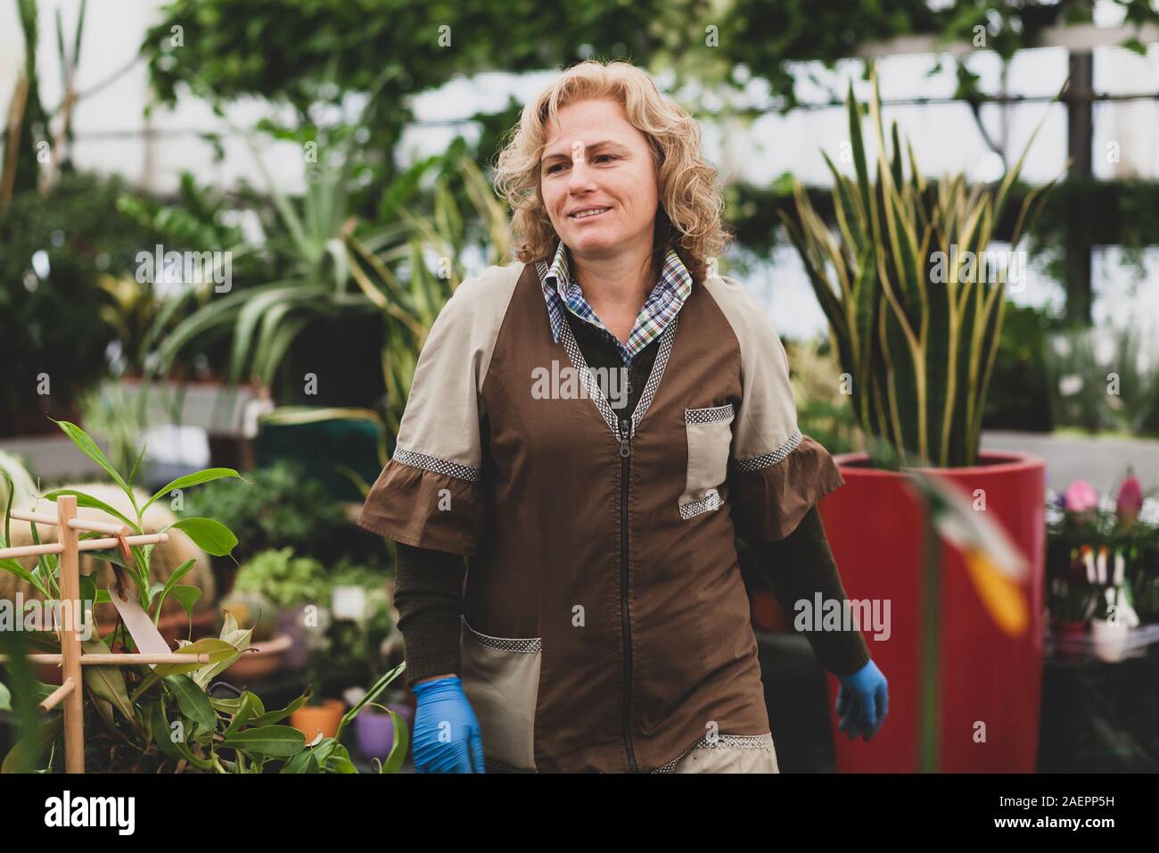 Blumengeschäft mit professionellen Kleidung in einer Baumschule. Konzept der handwerklichen Arbeit mit Blumen. Stockfoto