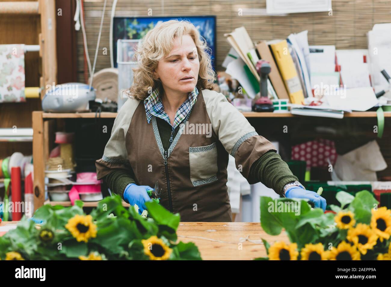 Blumengeschäft mit professionellen Kleidung in einem Kinderzimmer schneiden Sonnenblumen. Stockfoto