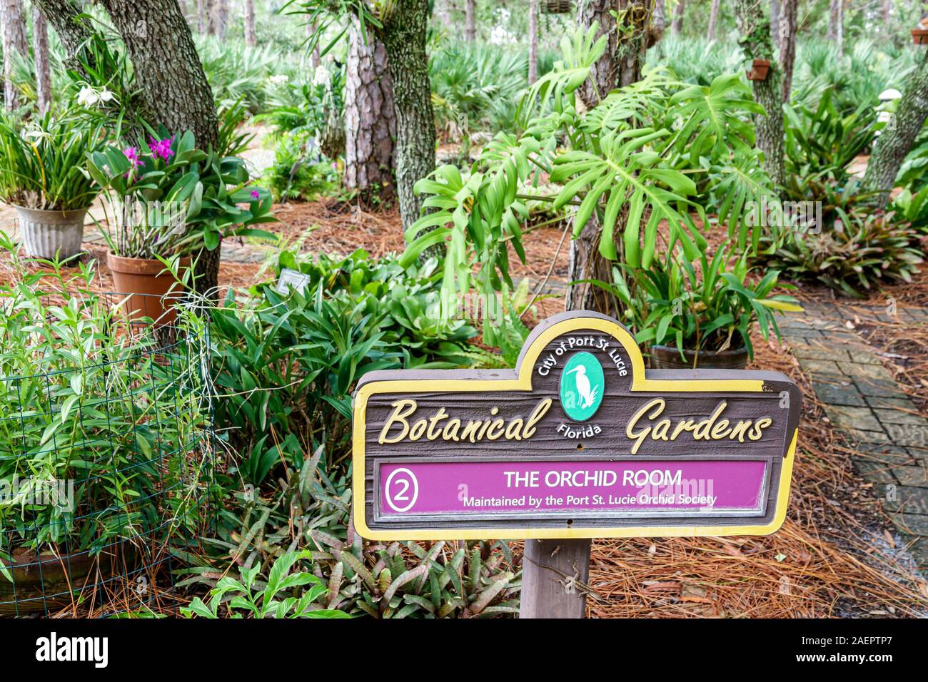 Port St. Saint Lucie Florida, Port St. Lucie Botanical Gardens, Orchideenzimmer, Garten, Schild, FL190920036 Stockfoto