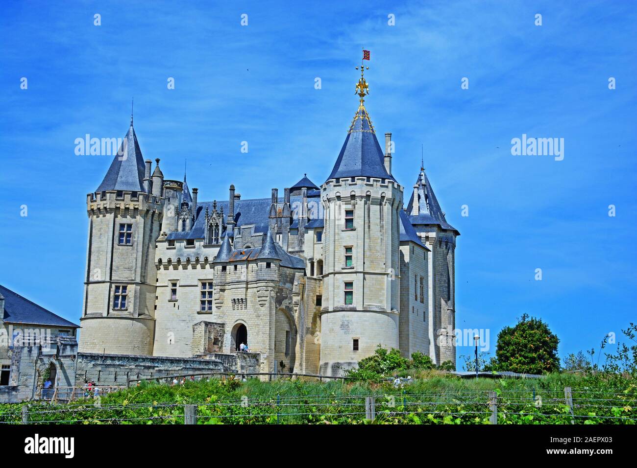 Schloss Saumur, Loire, Maine-et-Loire, Frankreich Stockfoto