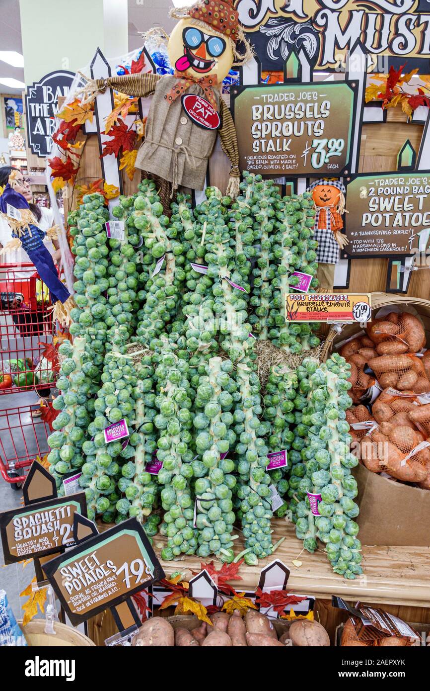 Miami Beach Florida, Trader Joe's, Lebensmittelgeschäft Supermarkt Lebensmittel, Einkaufen, im Inneren, Gemüse-Abteilung produzieren, rosenkohl Stiele, Herbst, di Stockfoto