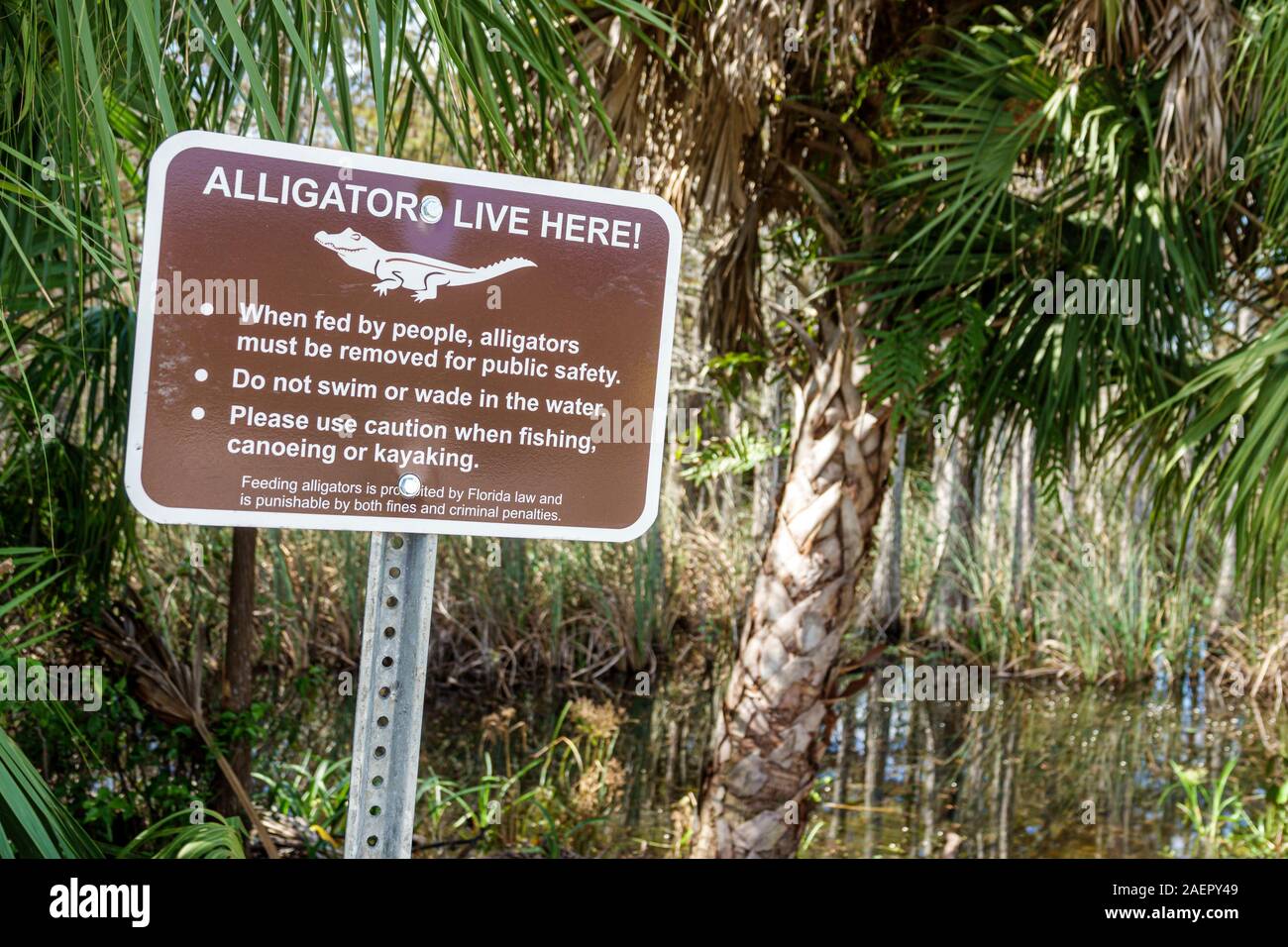 Palm Beach Gardens Florida, Loxahatchee Slough Naturgebiet, Feuchtgebiete Preserve, Tierschutzgebiet, Warnschild, lebende Alligatoren, FL191110033 Stockfoto
