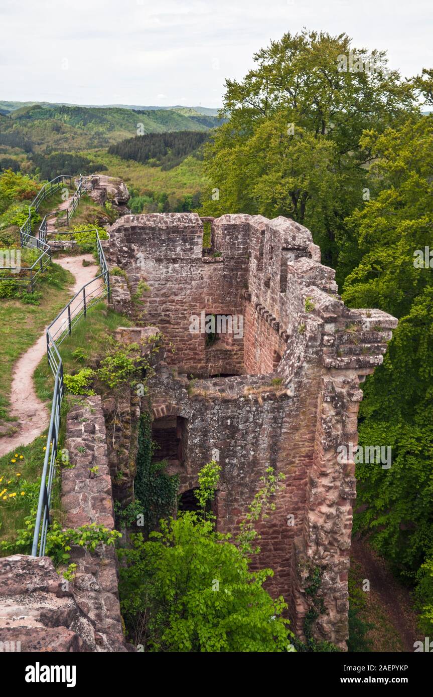 Ruinen der Burg Falkenstein, 13. Jahrhundert, Dambach, Regionaler Naturpark Vosges du Nord, Mosel (57), Grand Est Region, Frankreich Stockfoto