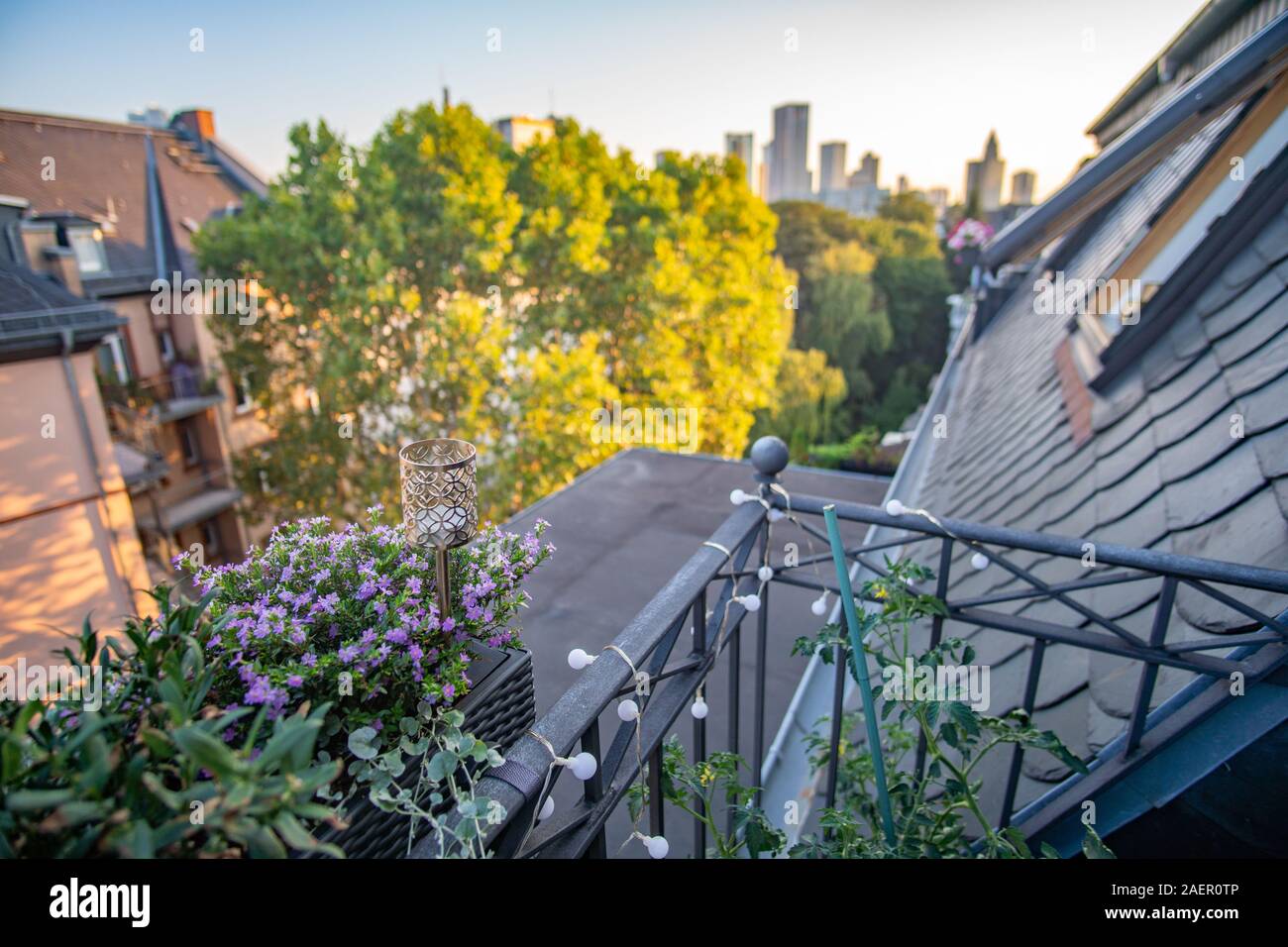 Wunderbare Blumen auf dem Balkon mit der Frankfurter Skyline Stockfoto