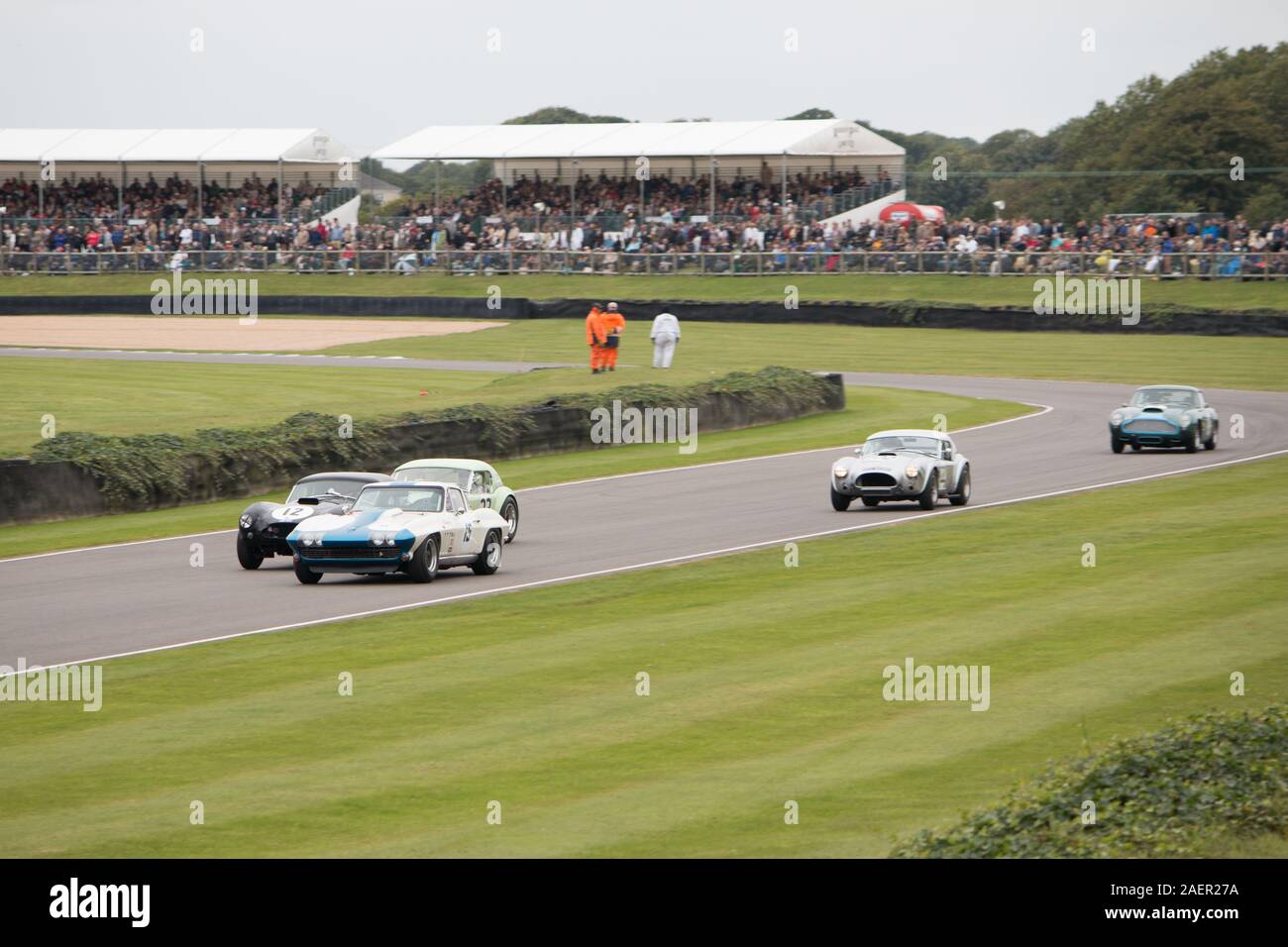 1965 Chevrolet Corvette Stingray Craig Davies Steve Soper RAC TT Feier Goodwood Motor Racing Chichester West Sussex Stockfoto