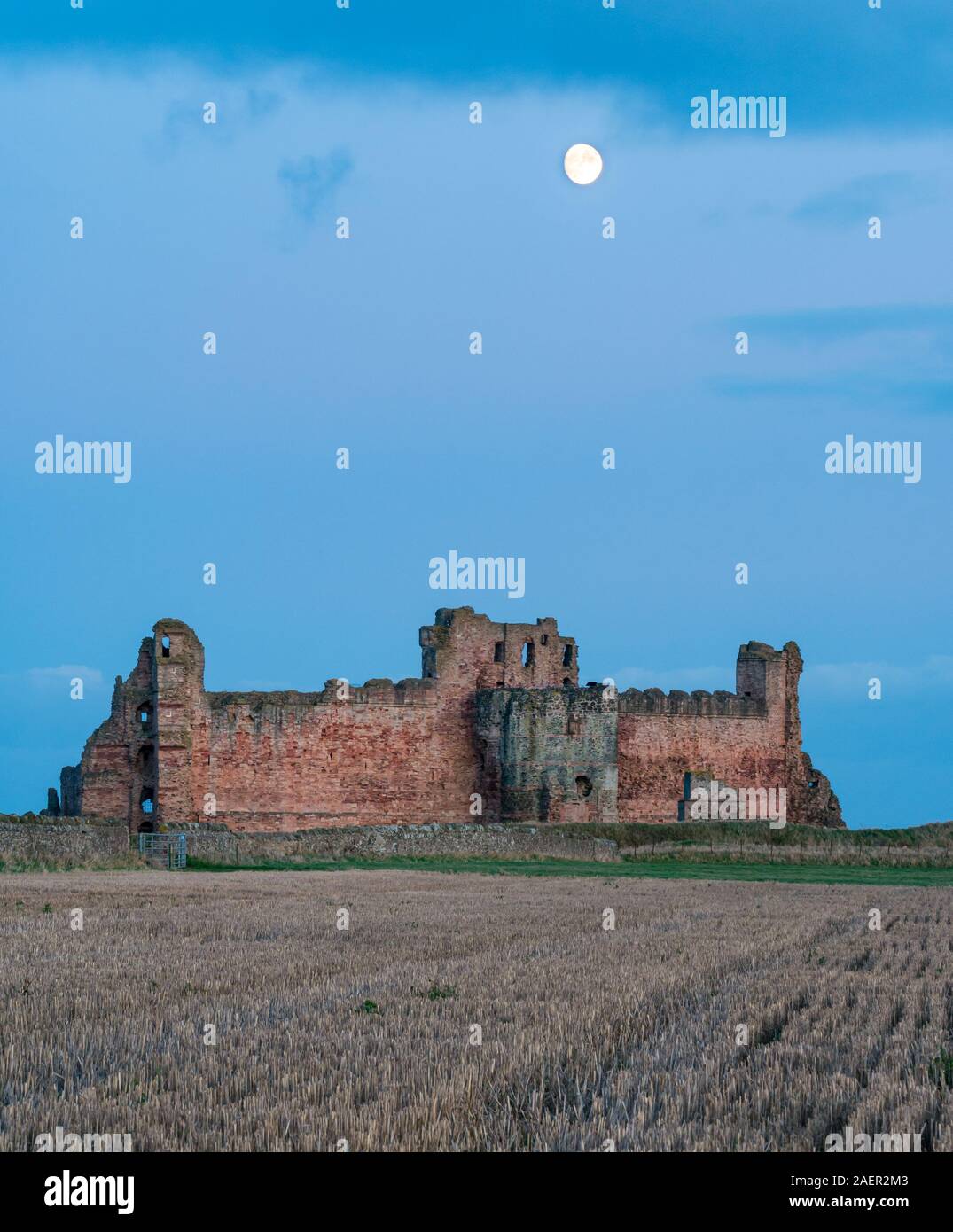 Ein klarer Himmel mit Waxing gibbous Mond über dem zerstörten Vorhangfassade des 14.jahrhunderts Tantallon Castle Ruins steigt, East Lothian, Schottland, Großbritannien Stockfoto