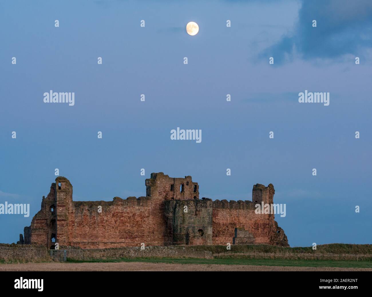Ein klarer Himmel mit Waxing gibbous Mond über dem zerstörten Vorhangfassade des 14.jahrhunderts Tantallon Castle Ruins steigt, East Lothian, Schottland, Großbritannien Stockfoto