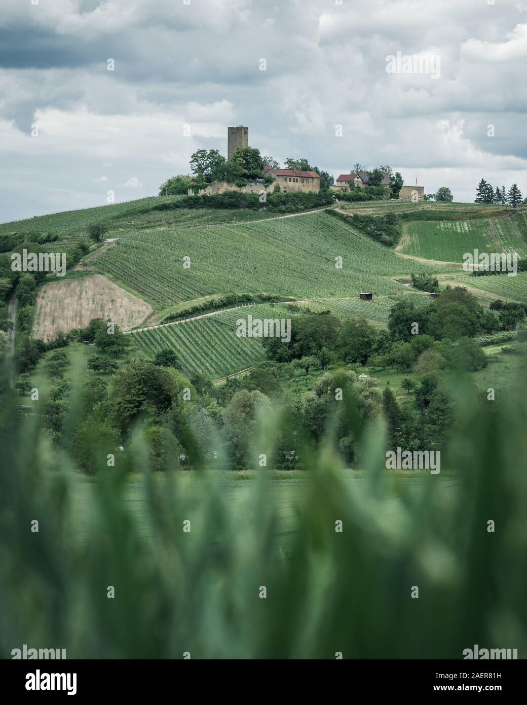 Burg Ravensburg Sterben in der Nähe von Sulzfeld im Naturpark Stromberg Heuchelberg Stockfoto