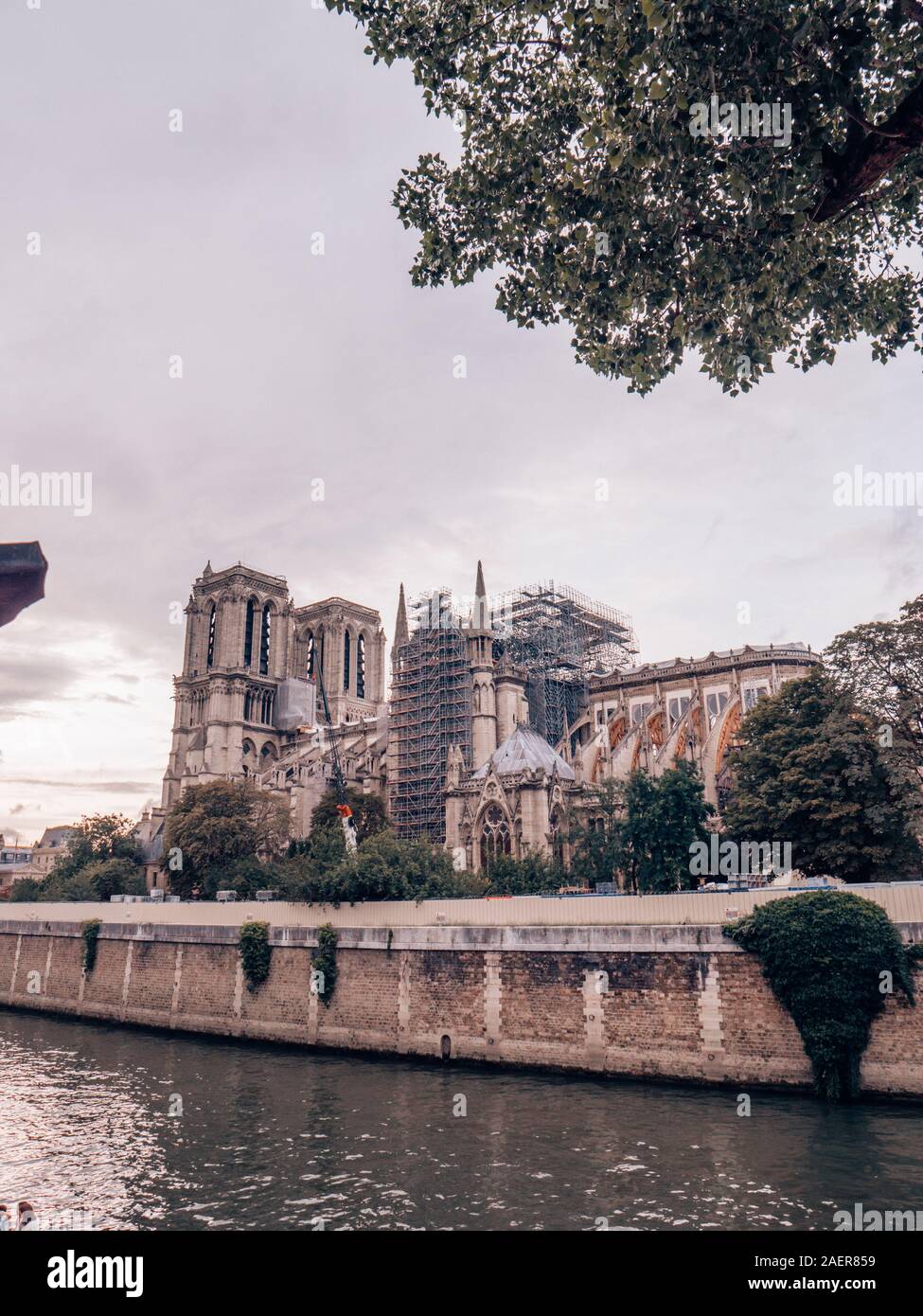 Cathédrale Notre-Dame de Paris Stockfoto