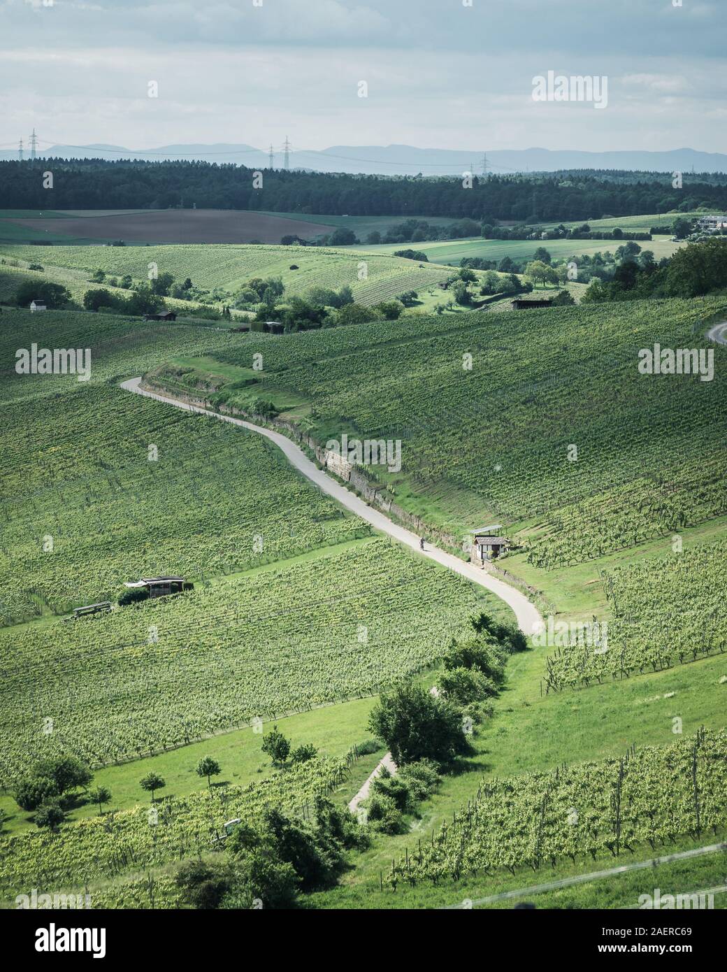 Gemütlicher Ausblick vom Derdinger Horn über Weinberge Stockfoto