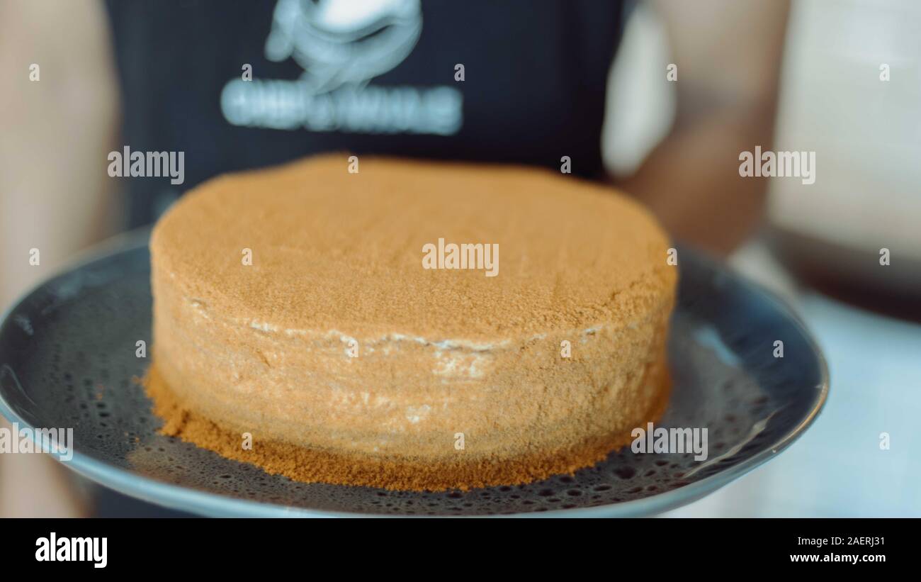 Frisch russischen Honig Kuchen Stockfoto