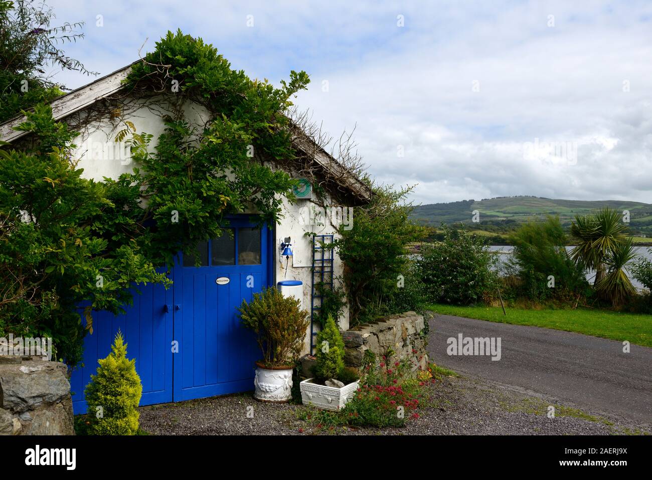 Auf Kilravock Gärten, West Cork Garden Trail, Hollum, County Cork, gardn, Schuppen, blaue Türen, RM Floral Stockfoto