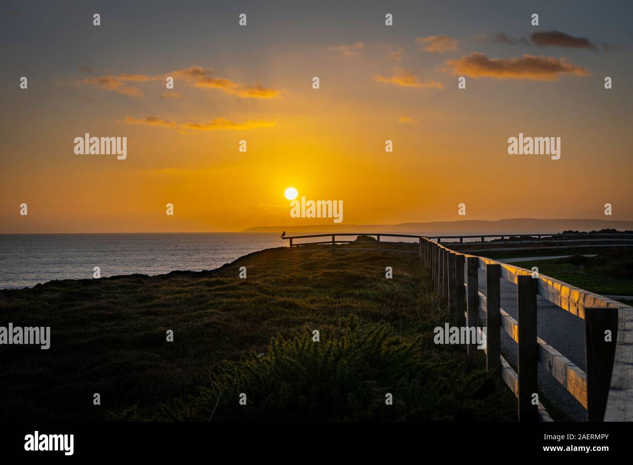Sonnenuntergang am Hengistbury Head mit dem Heidekraut und Küsten Zaun sanft illuminierten in niedrigen Sonnen Strahlen Stockfoto