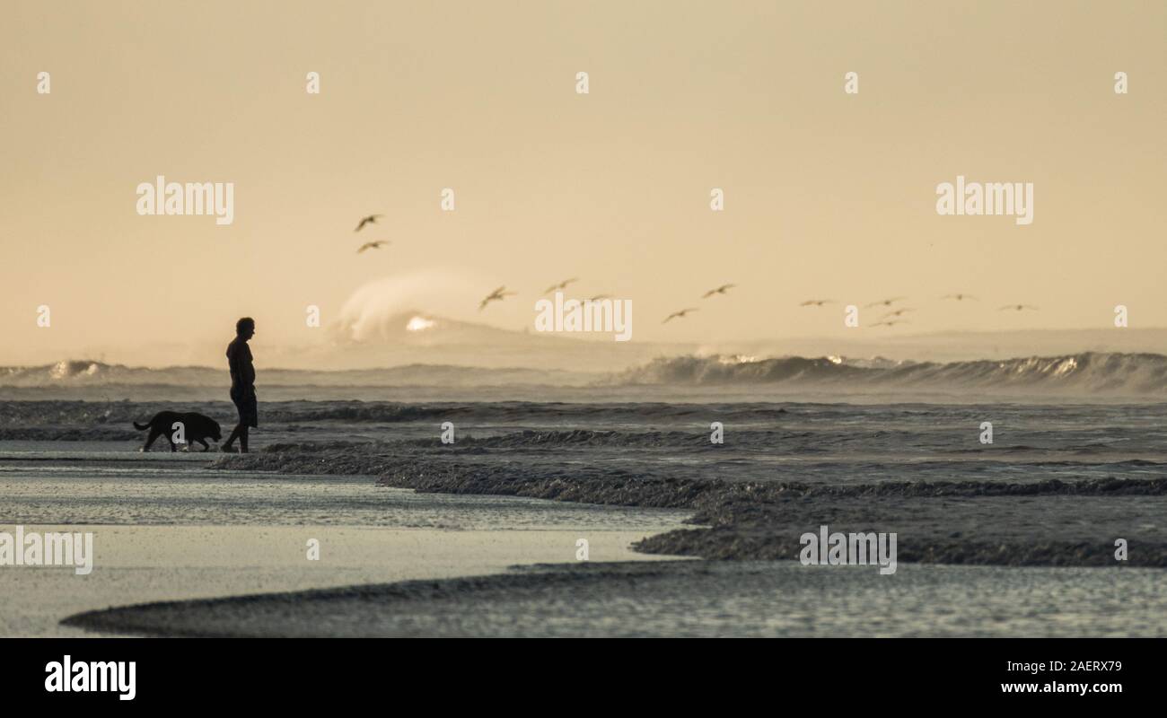 Ein Mann nimmt seinen Hund am Strand Stockfoto
