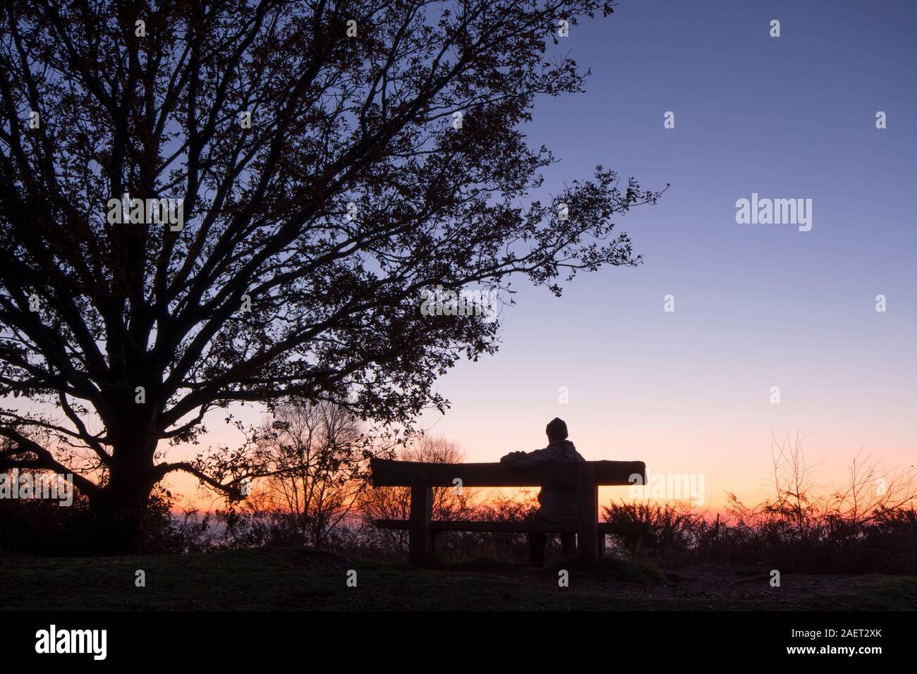 Einsamer Mann sitzt auf Platz neben einem Baum bei Sonnenuntergang von älteren Hill Aussichtspunkt mit Blick über Woolbeding Gemeinsame, Sussex, UK, Dezember suchen Stockfoto