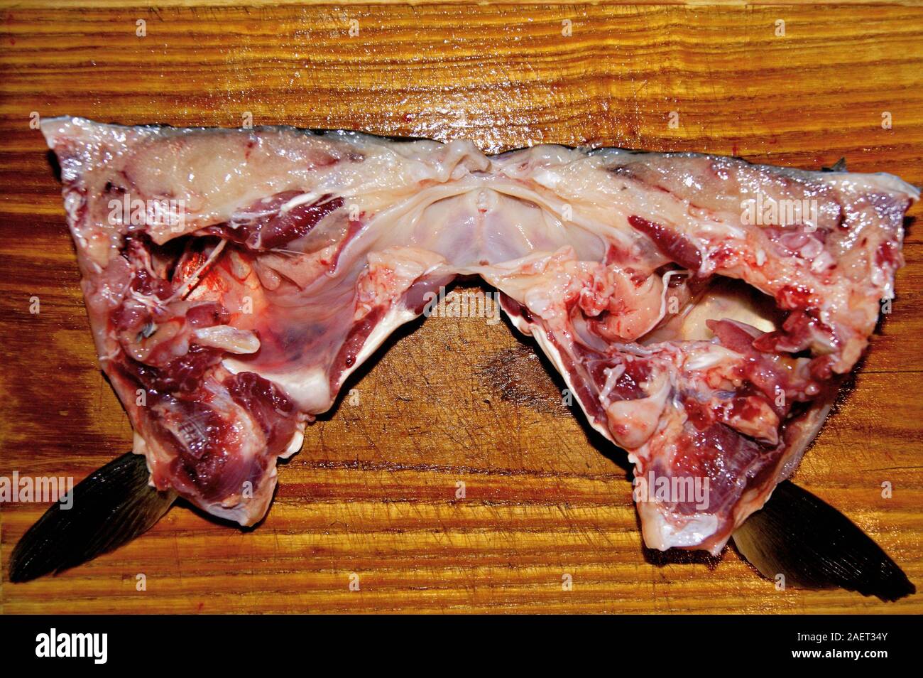 Essen. Gericht. Fisch in Stücke schneiden, wartet für das Kochen. Stockfoto