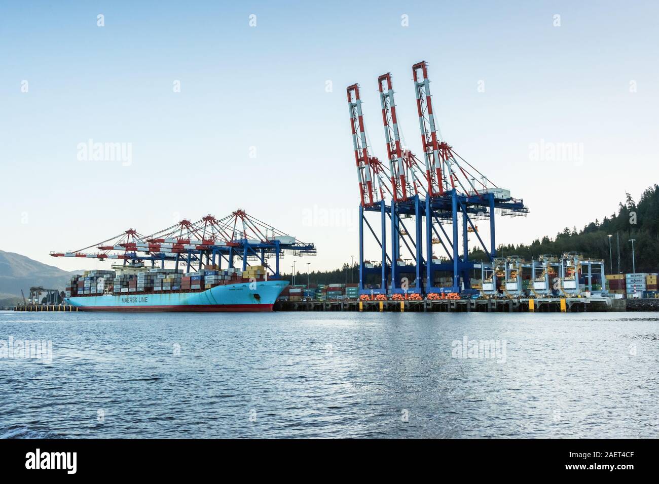 Container Terminal mit Maersk Kokura und Portalkranen, Prince Rupert, British Columbia. Stockfoto