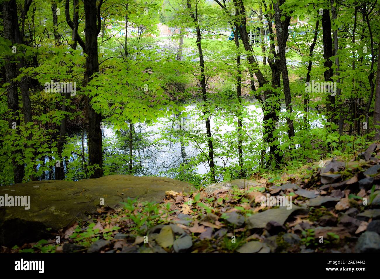 Ein Schuss von einem verträumten Landschaft und Teich Stockfoto
